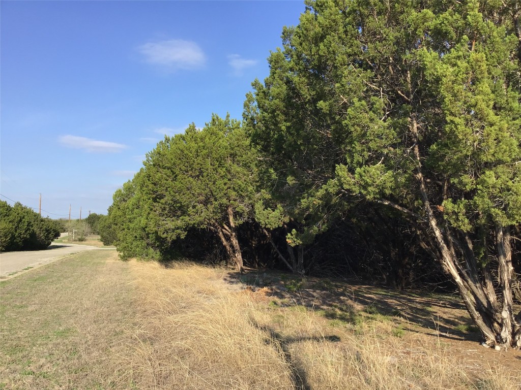 29084 Cedar Hill Drive & Timberwood Drive Whitney TX 76692