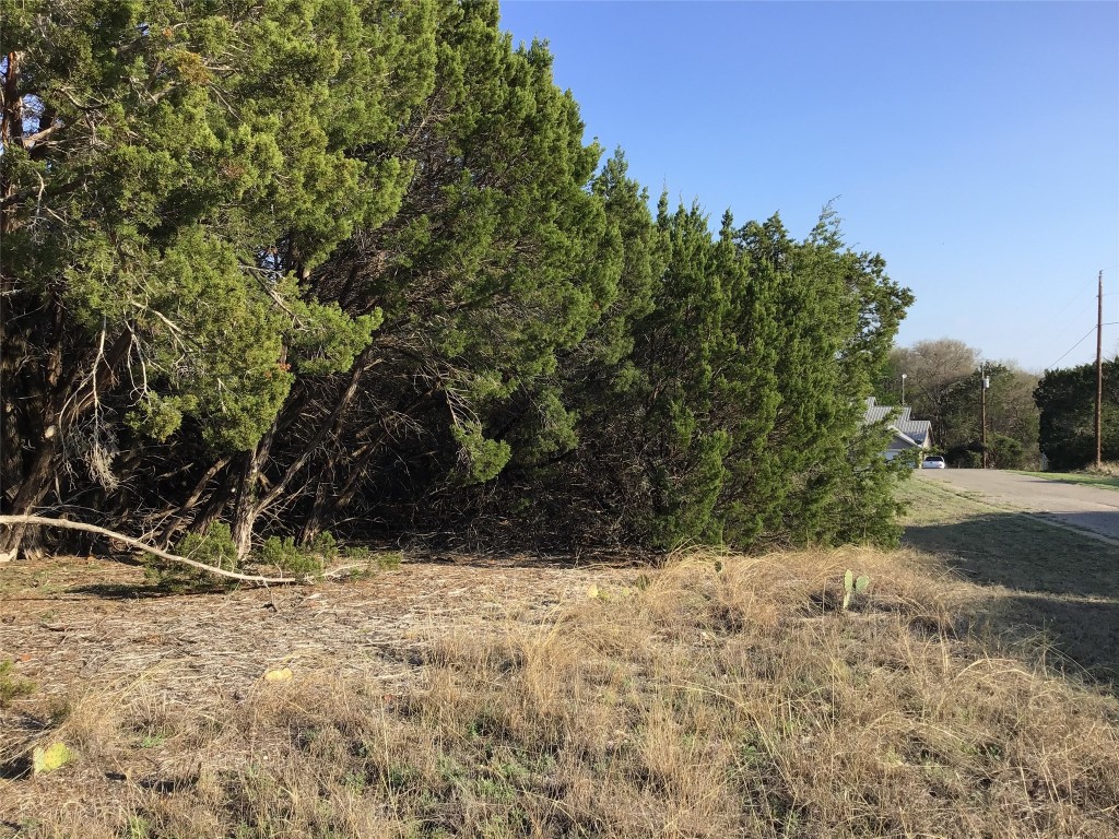 29084 Cedar Hill Drive & Timberwood Drive Whitney TX 76692