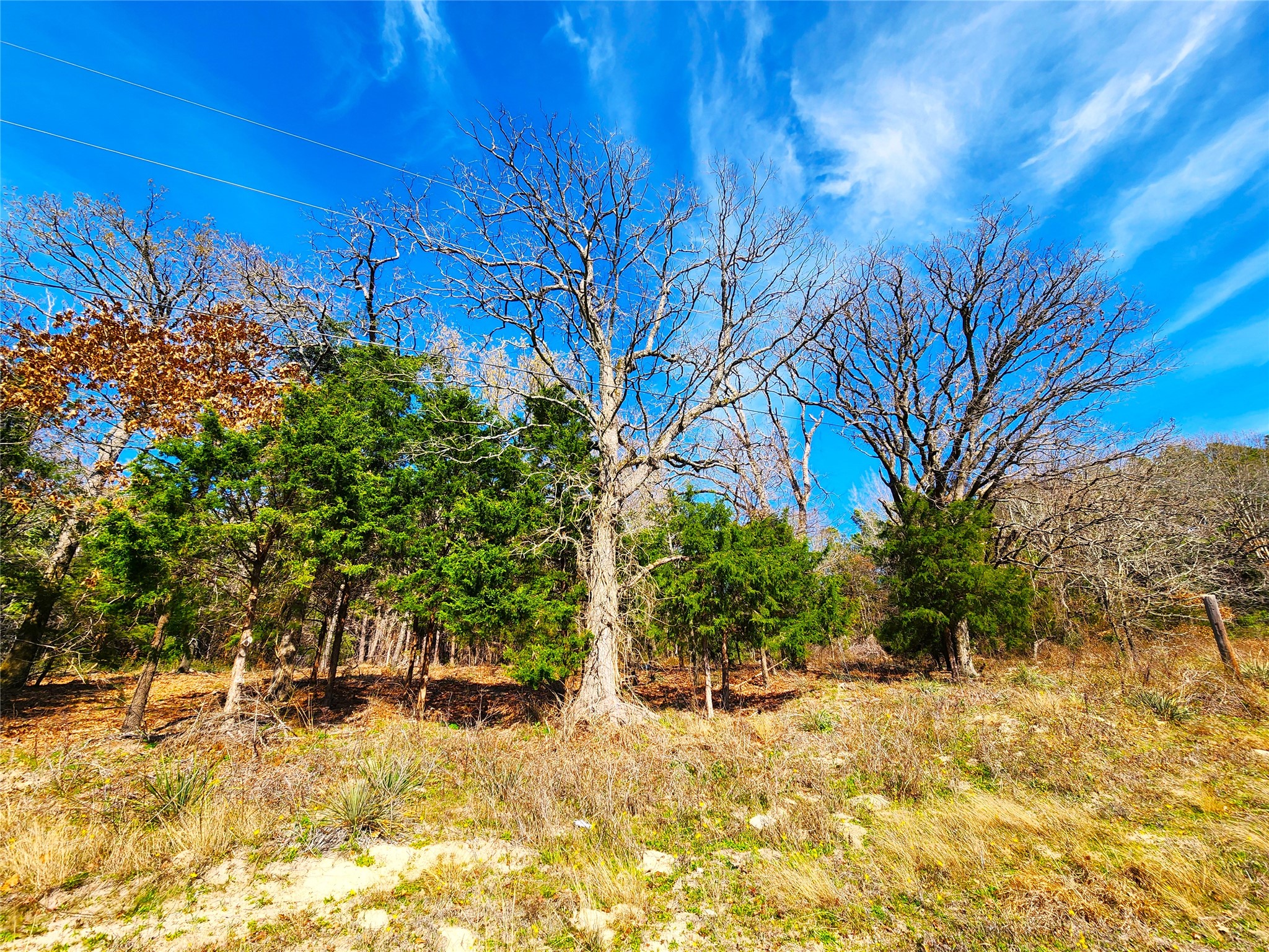 Lot 463 Us-175 Larue TX 75770
