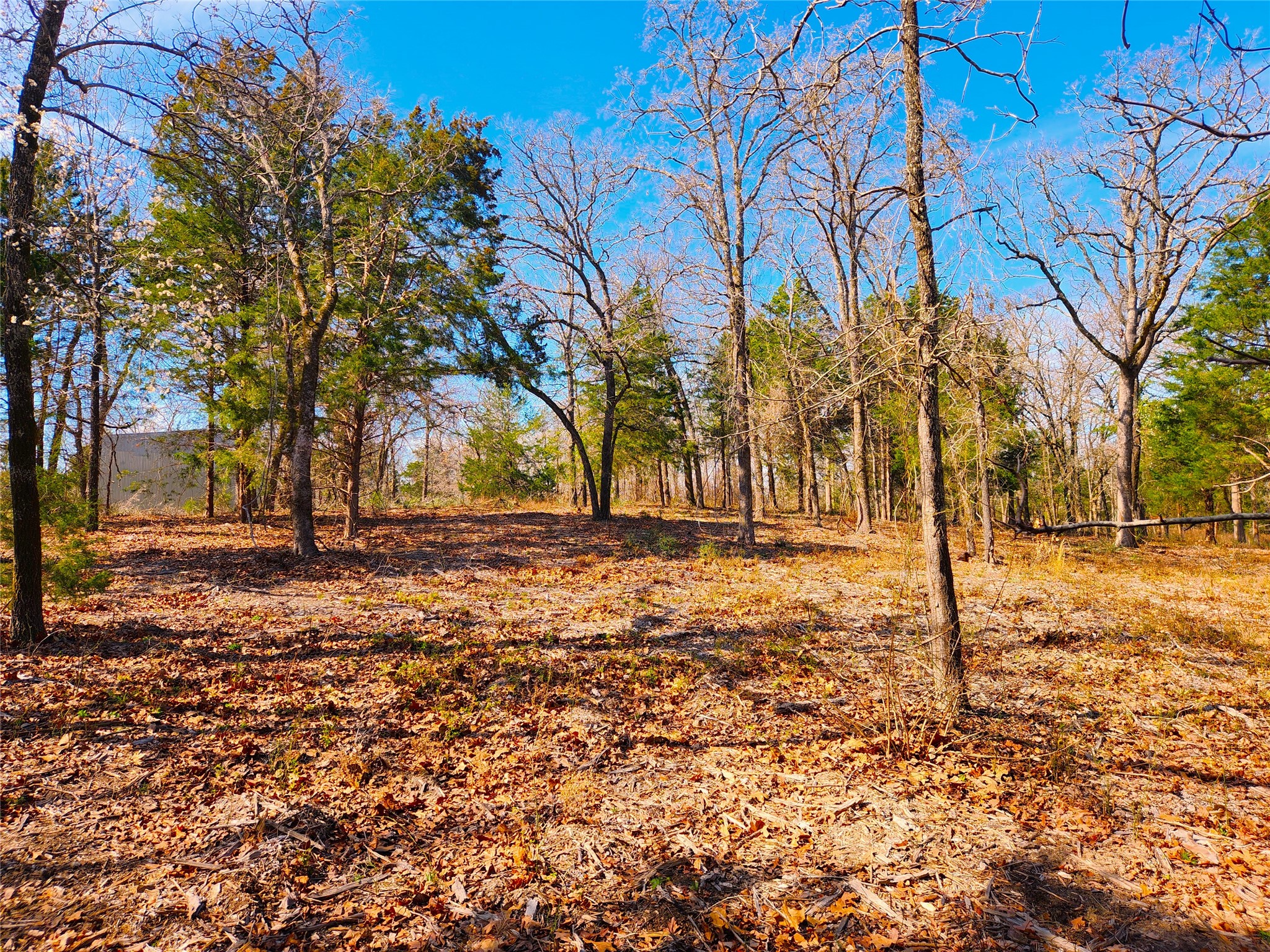 Lot 463 Us-175 Larue TX 75770