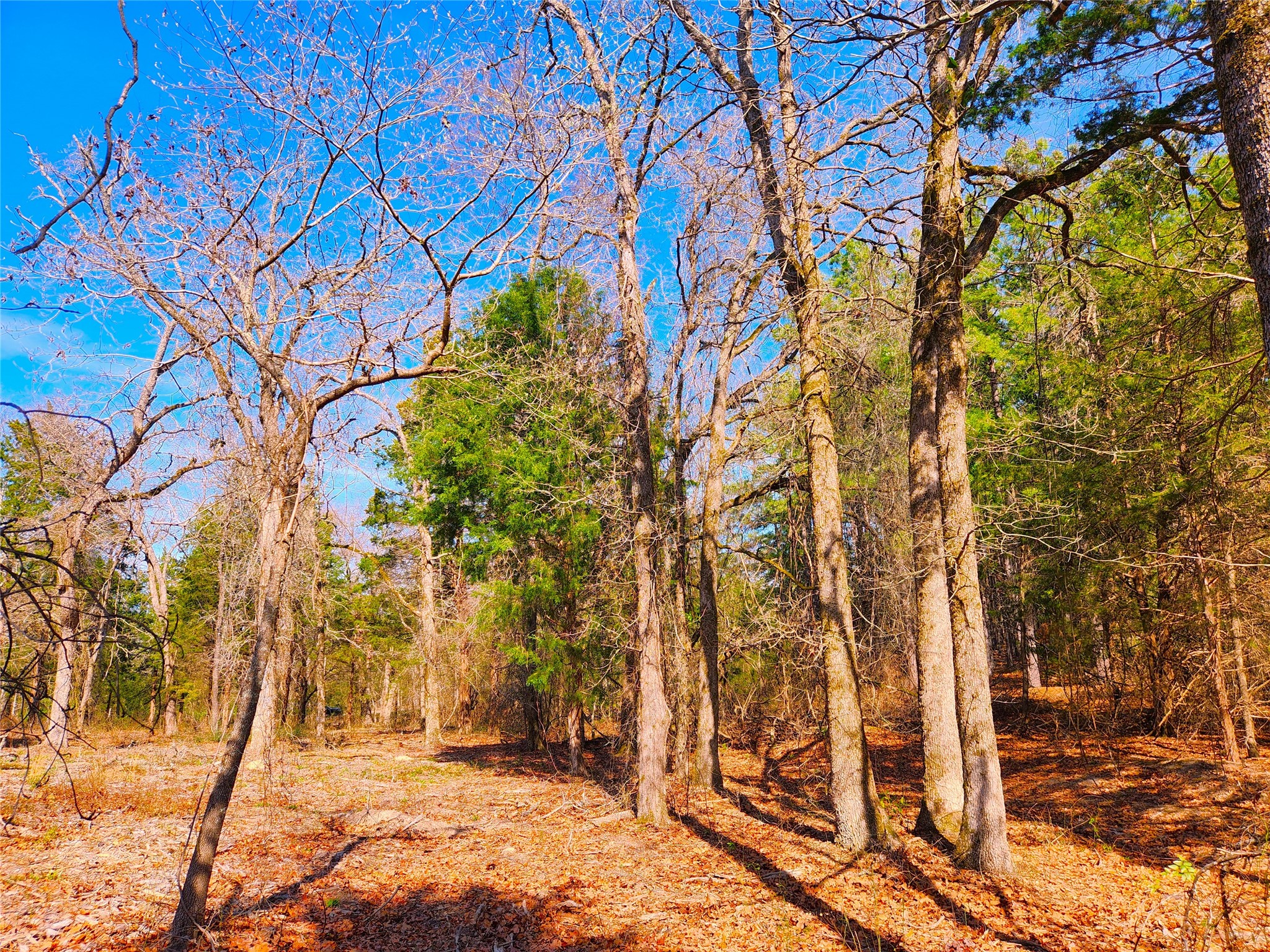 Lot 463 Us-175 Larue TX 75770