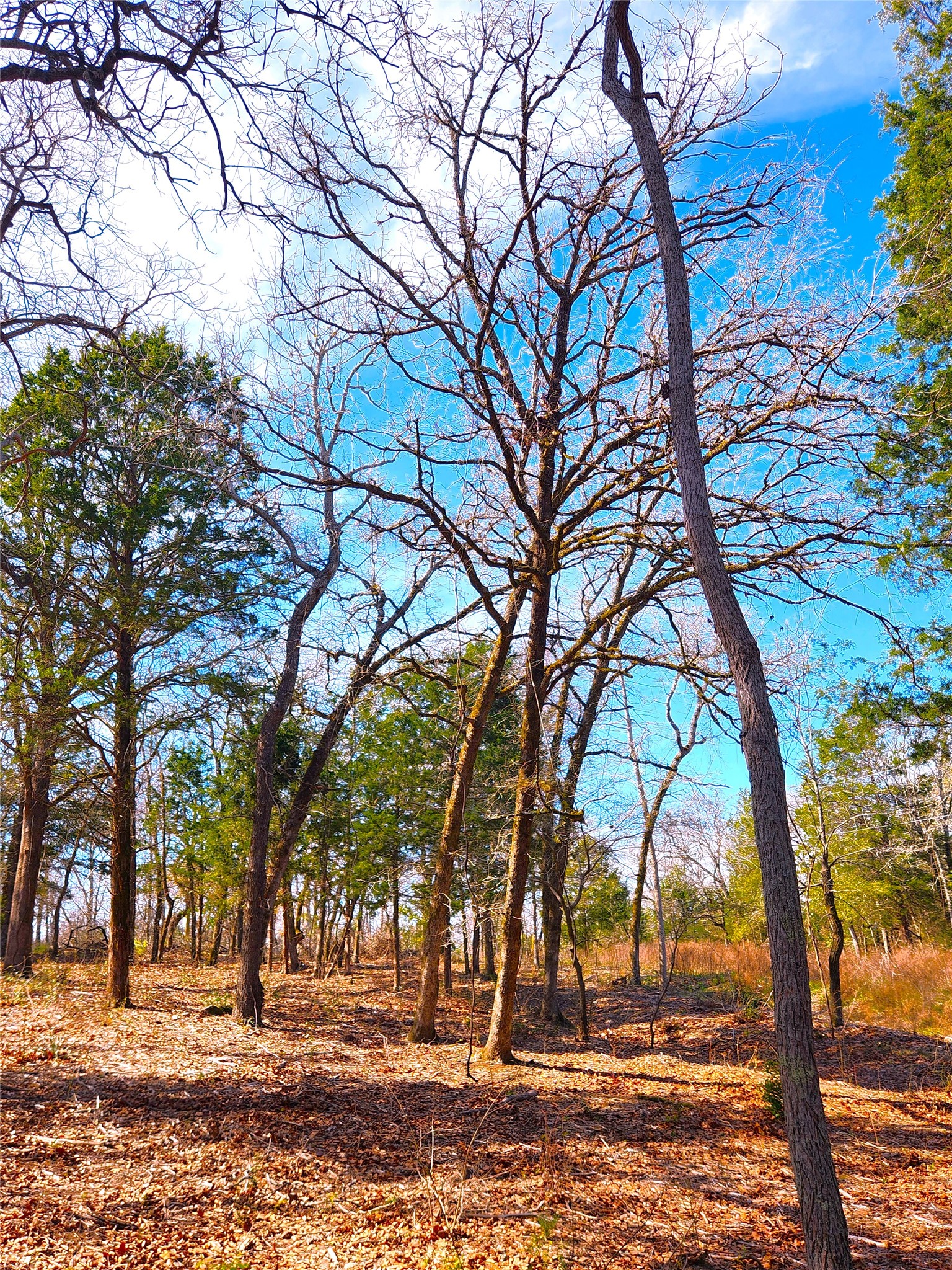 Lot 463 Us-175 Larue TX 75770