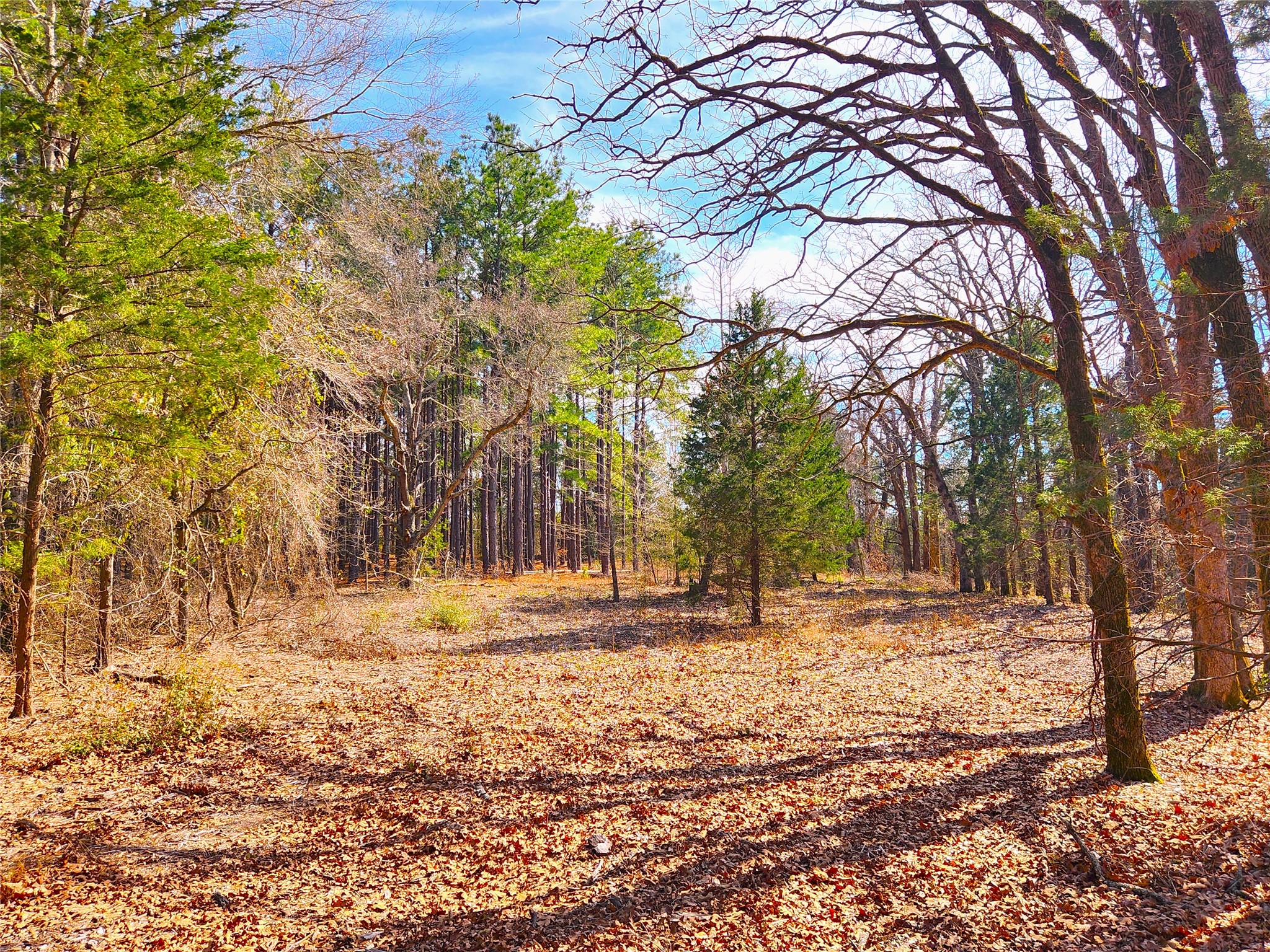 Lot 463 Us-175 Larue TX 75770