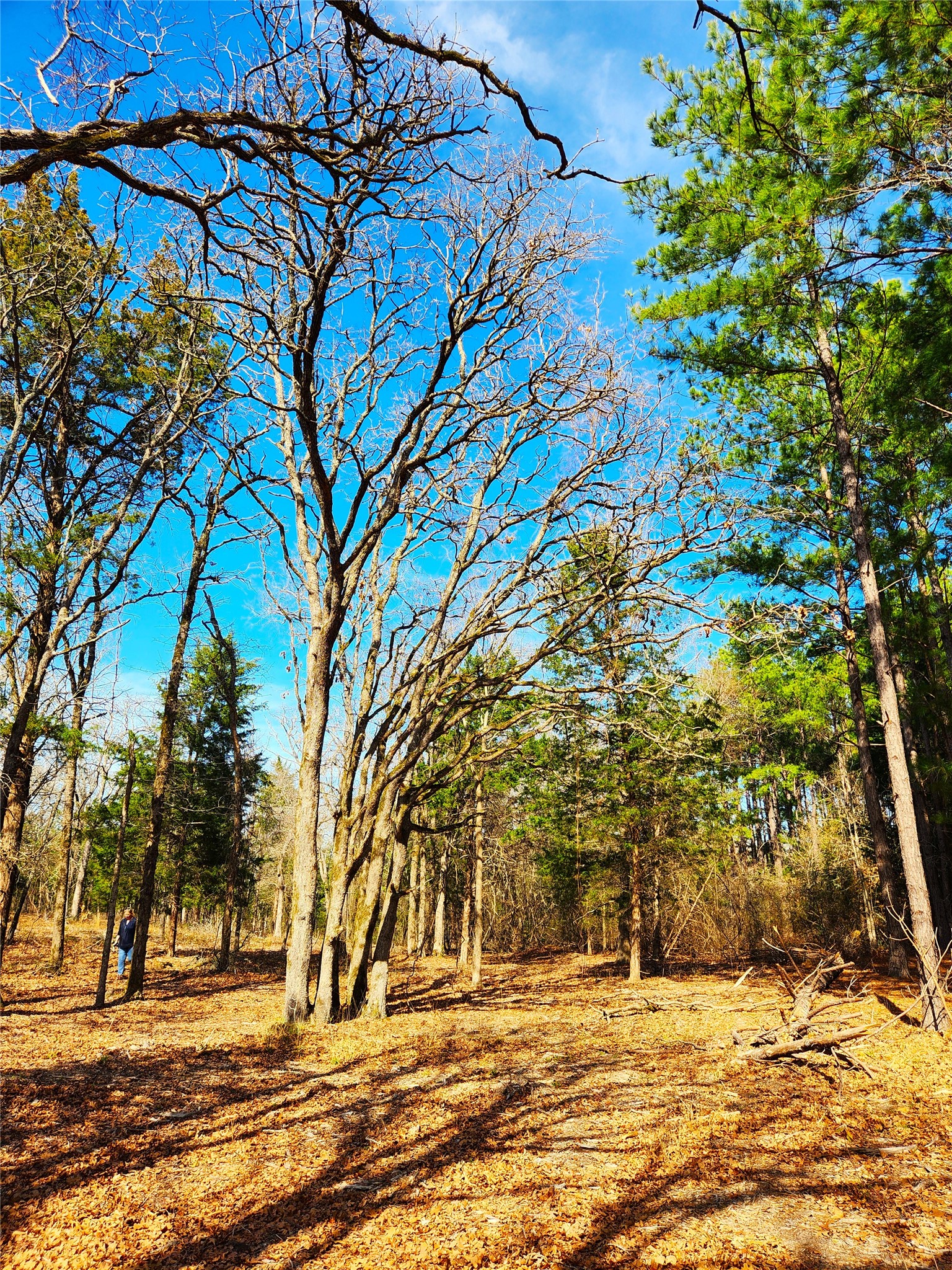 Lot 463 Us-175 Larue TX 75770