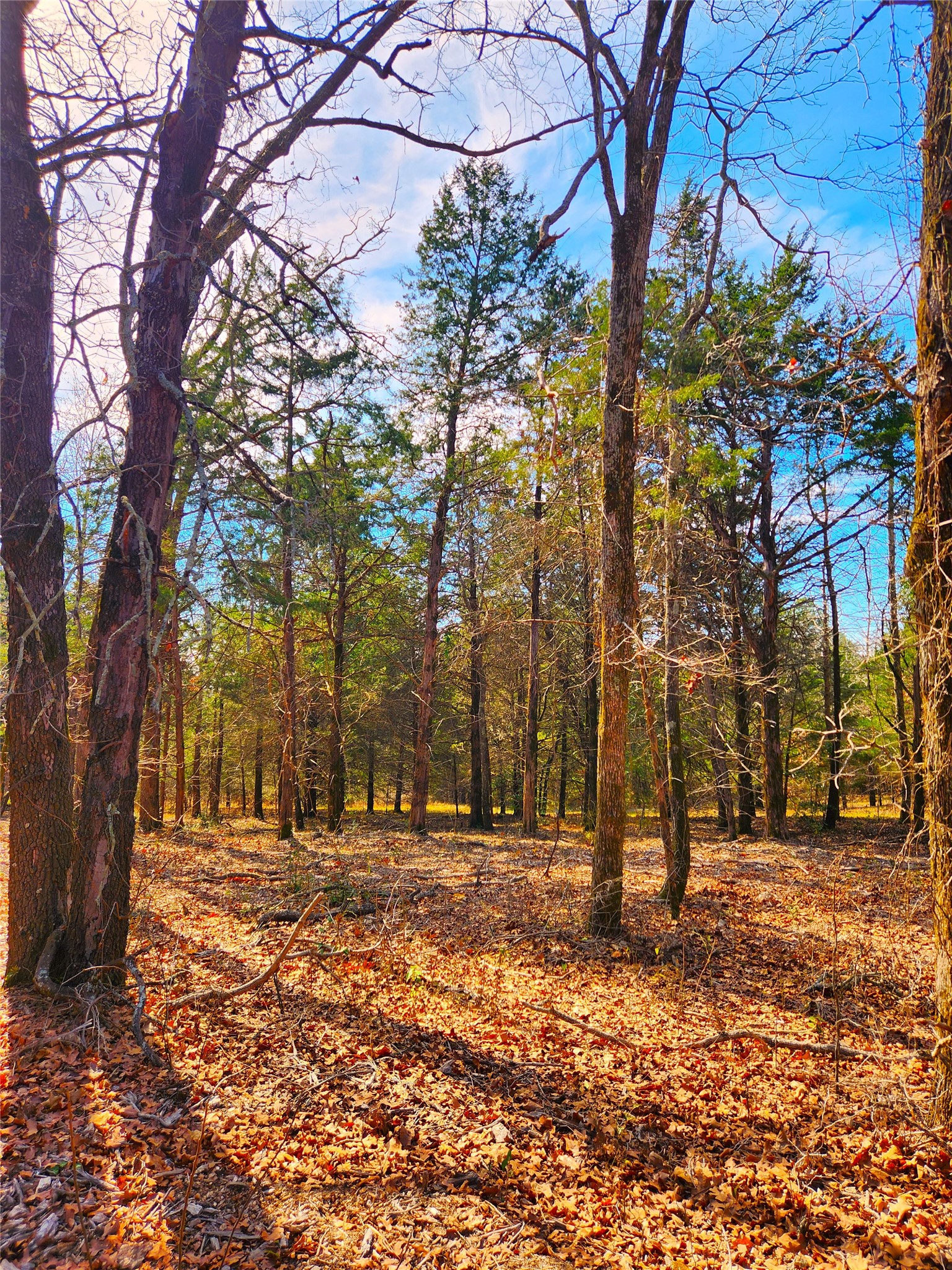 Lot 463 Us-175 Larue TX 75770