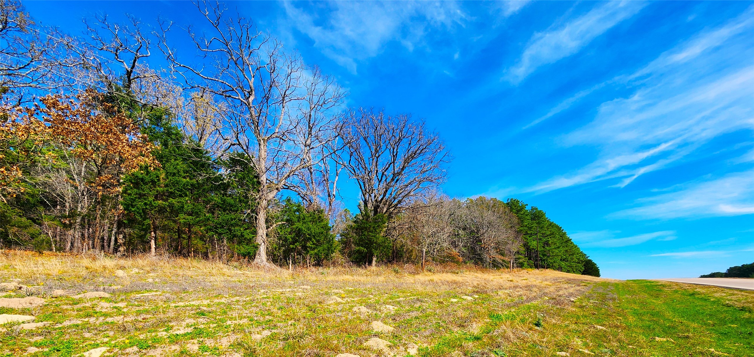 Lot 463 Us-175 Larue TX 75770