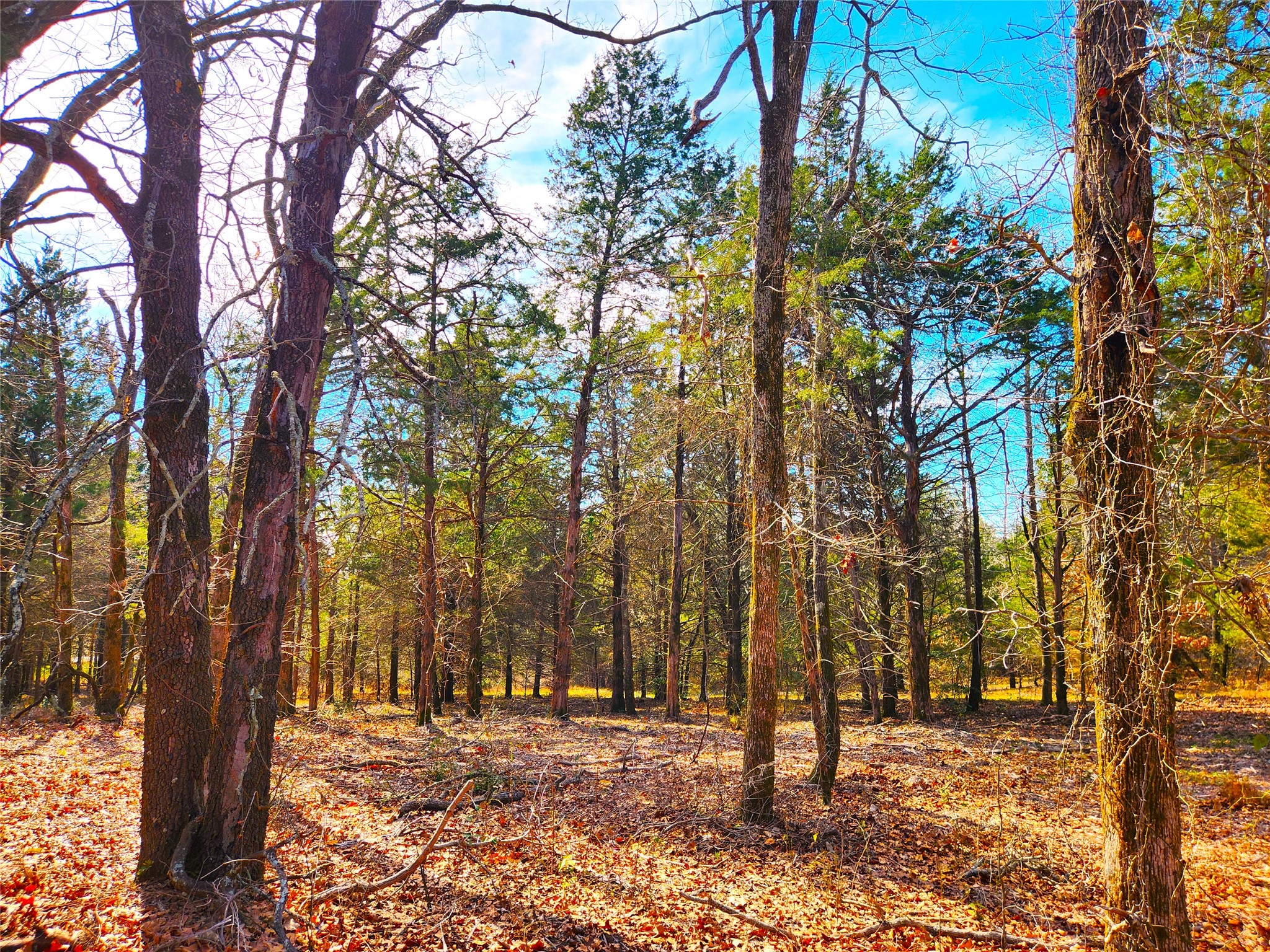 Lot 463 Us-175 Larue TX 75770