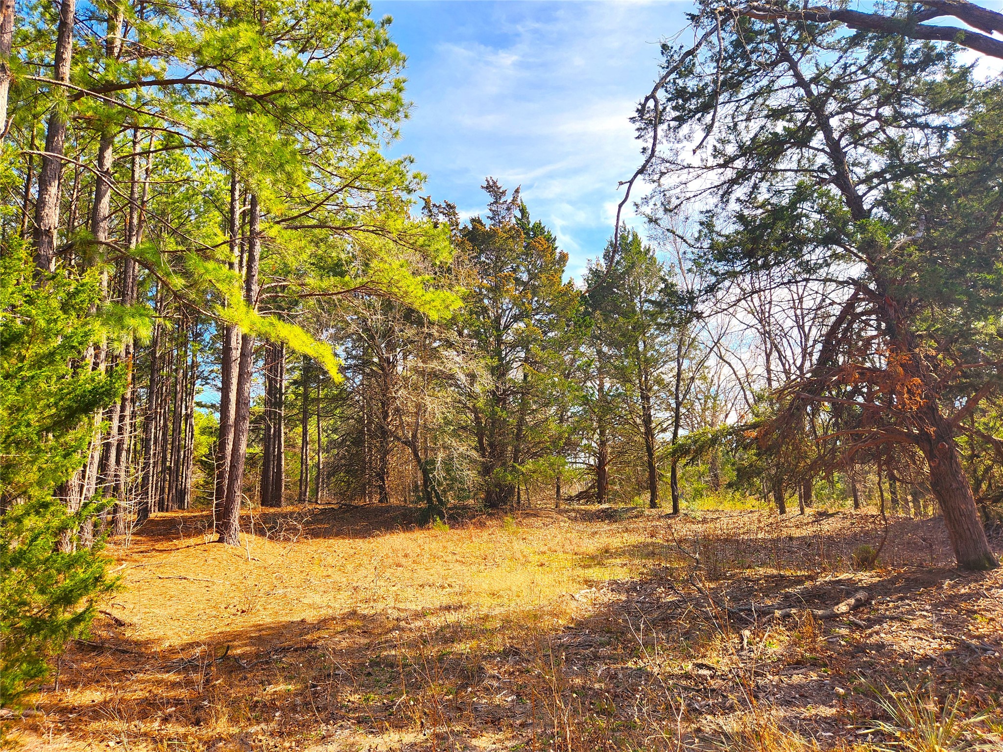 Lot 463 Us-175 Larue TX 75770