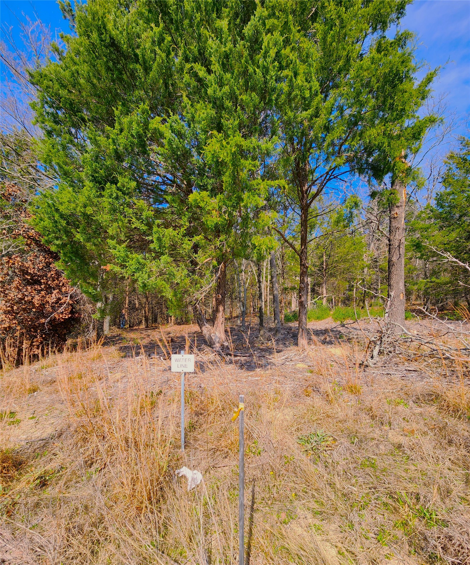 Lot 463 Us-175 Larue TX 75770
