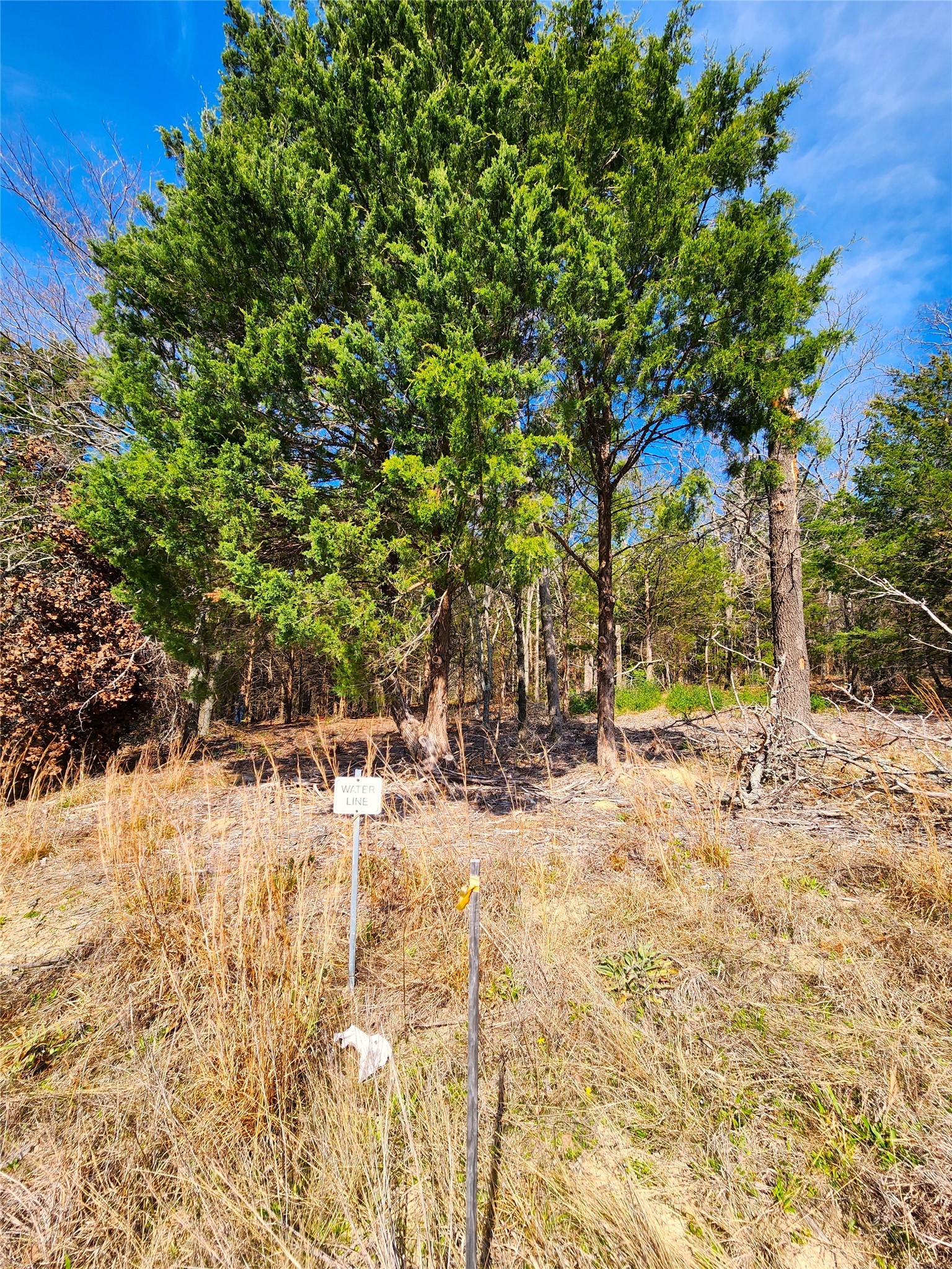 Lot 463 Us-175 Larue TX 75770