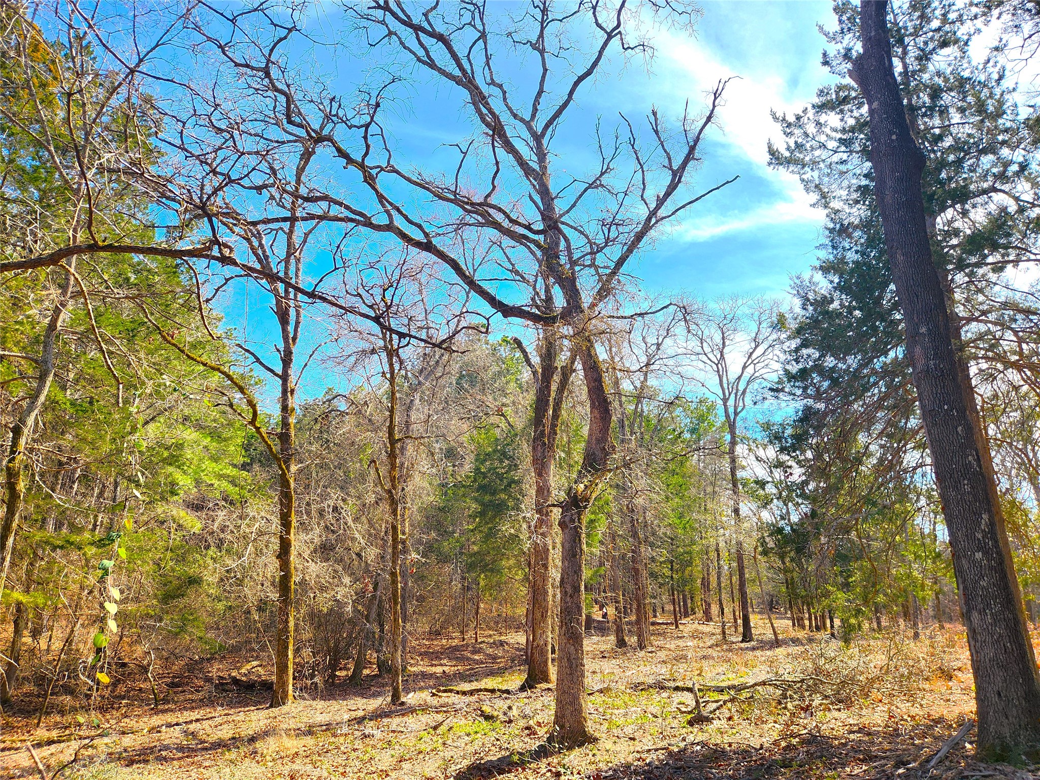Lot 463 Us-175 Larue TX 75770