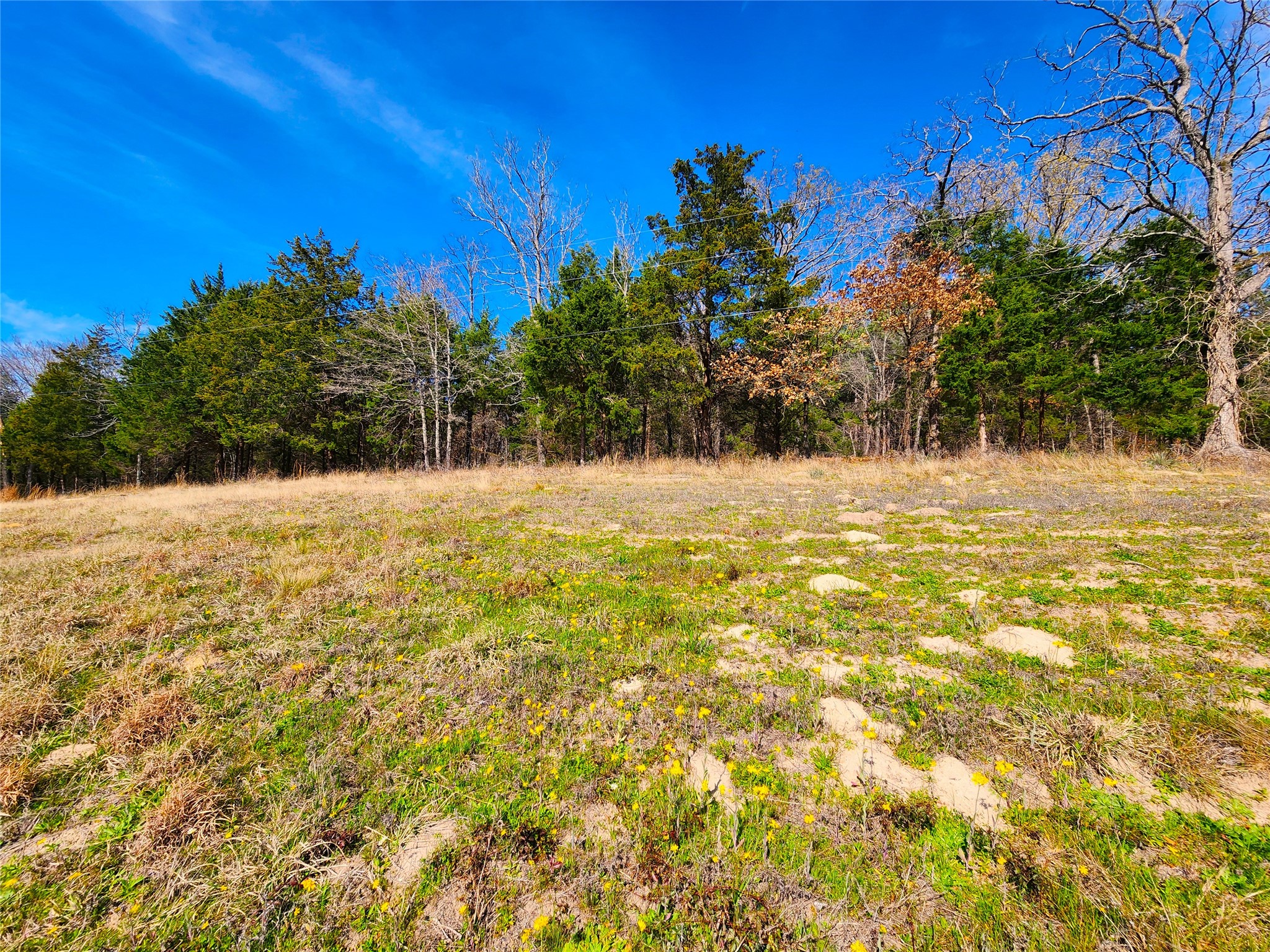 Lot 463 Us-175 Larue TX 75770
