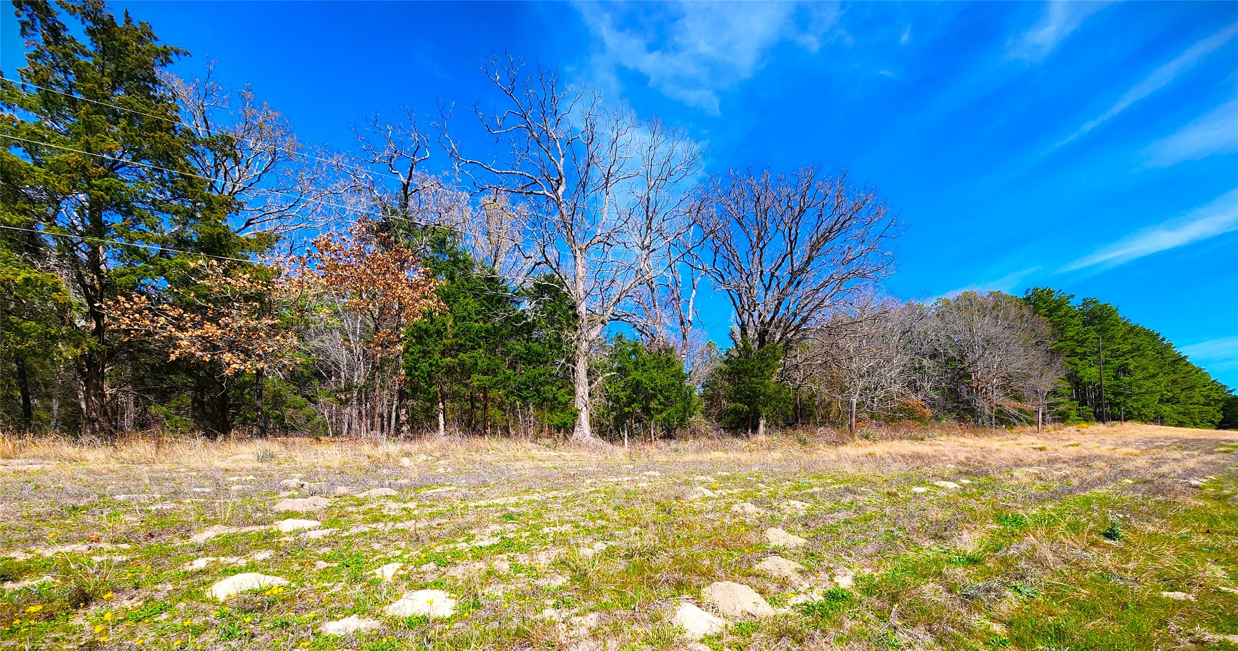 Lot 463 Us-175 Larue TX 75770