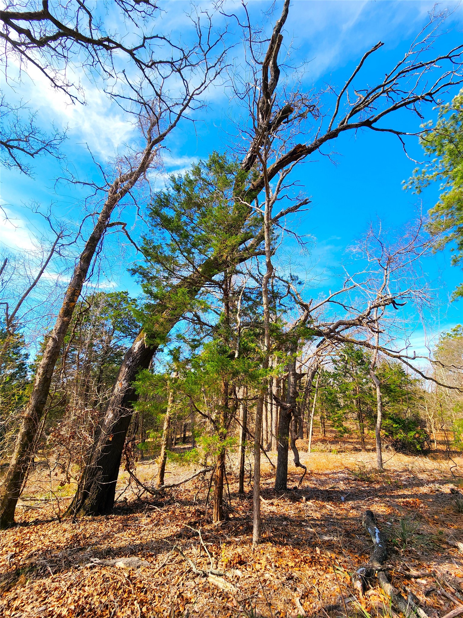 Lot 463 Us-175 Larue TX 75770