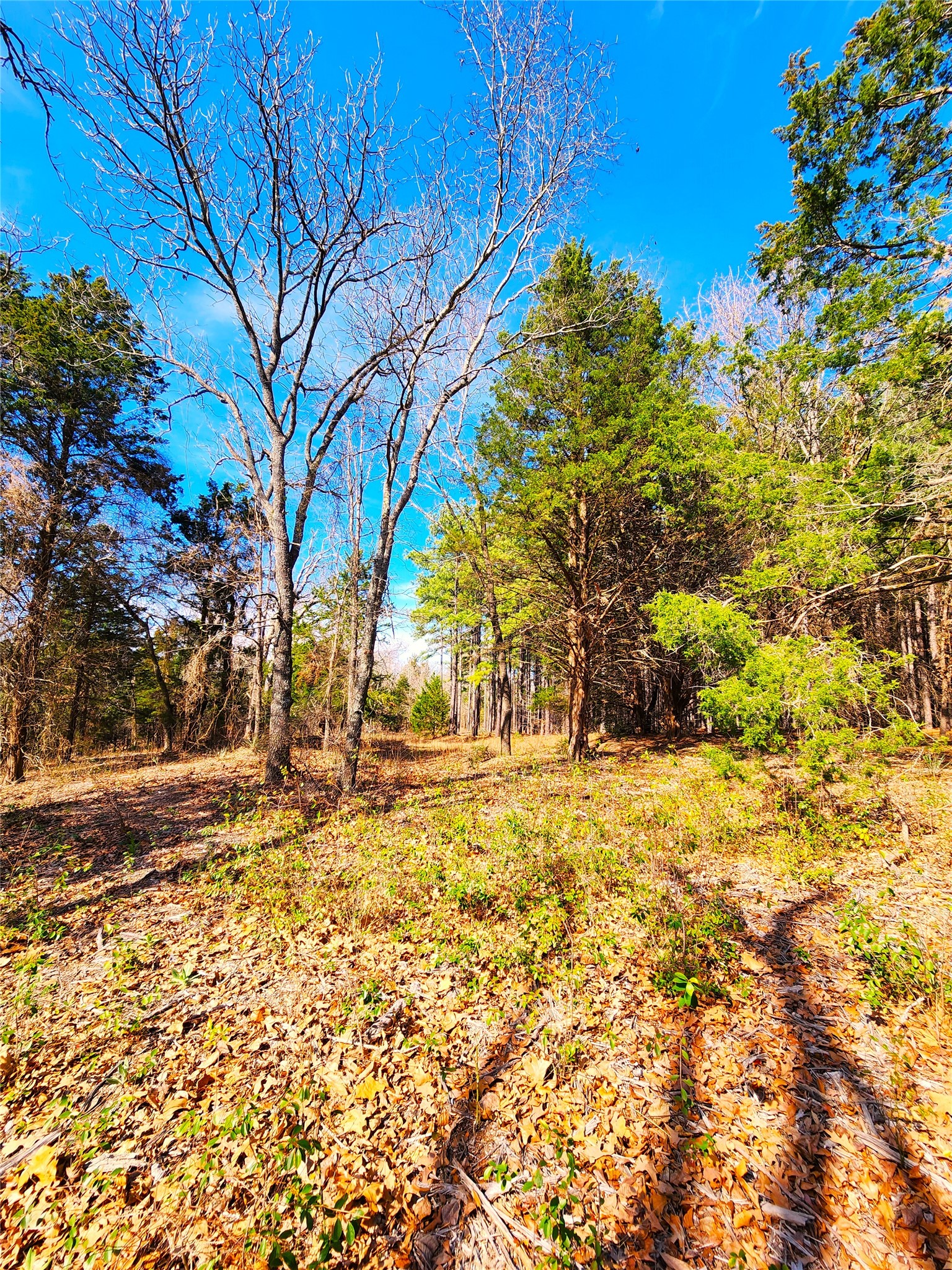 Lot 463 Us-175 Larue TX 75770