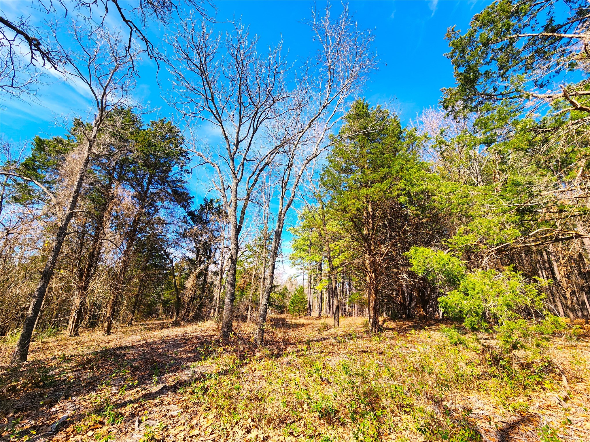 Lot 463 Us-175 Larue TX 75770