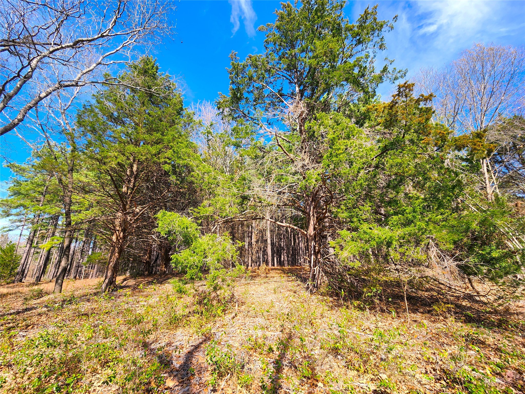Lot 463 Us-175 Larue TX 75770