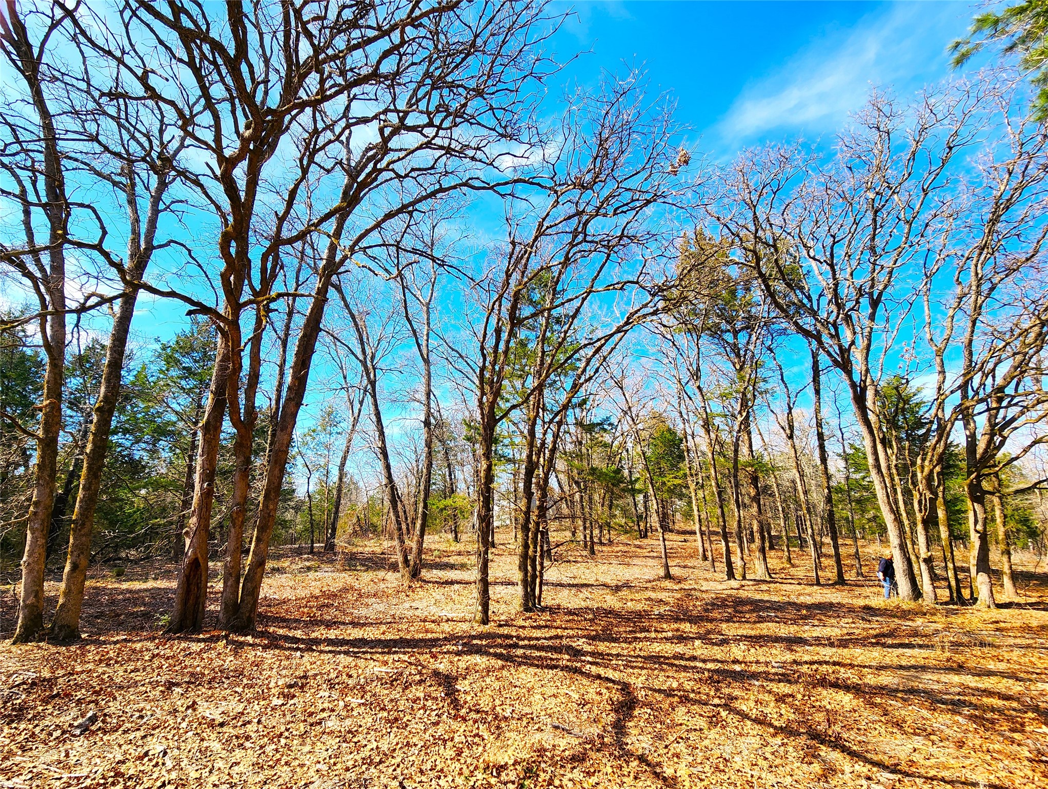 Lot 463 Us-175 Larue TX 75770