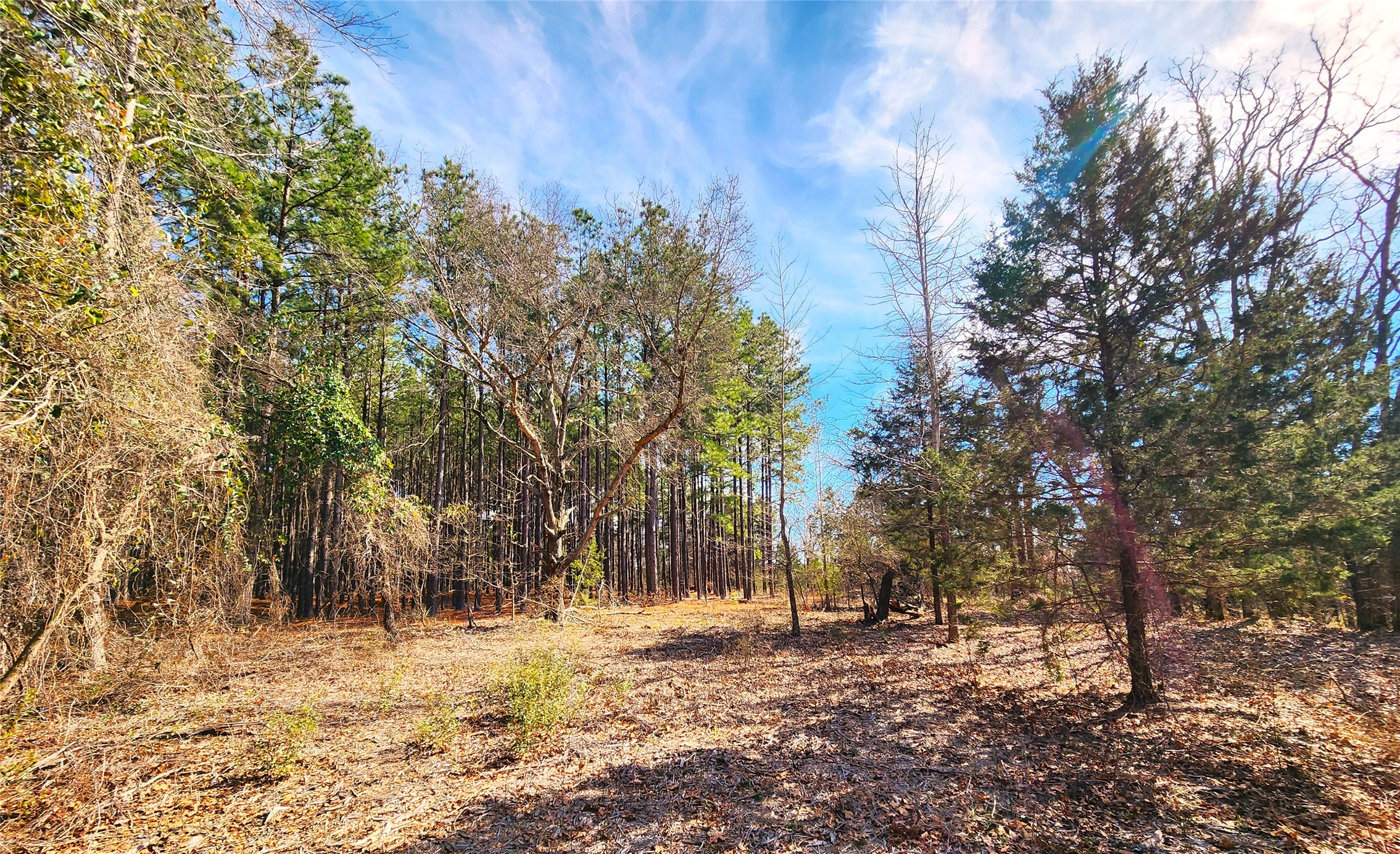 Lot 463 Us-175 Larue TX 75770