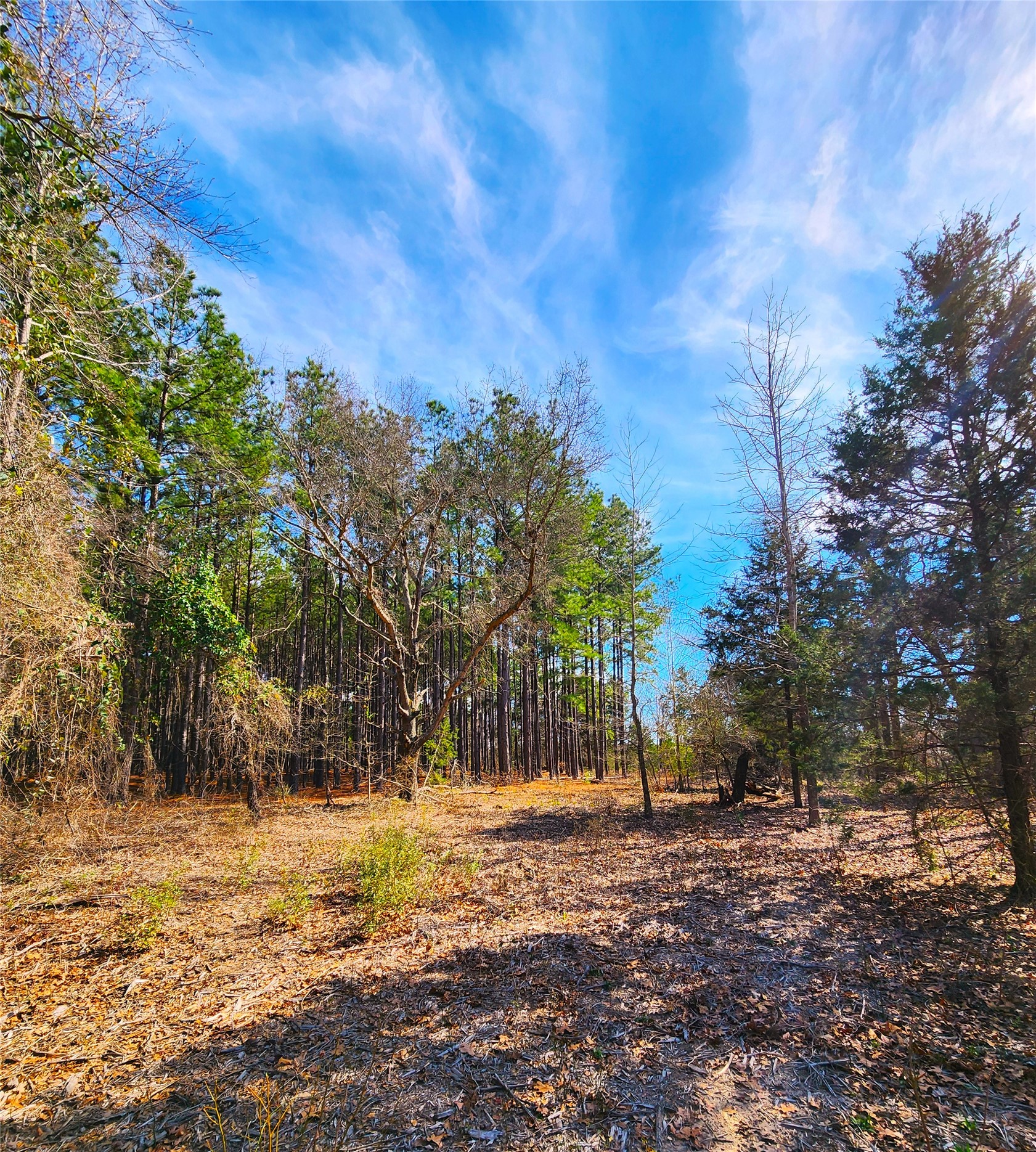 Lot 463 Us-175 Larue TX 75770