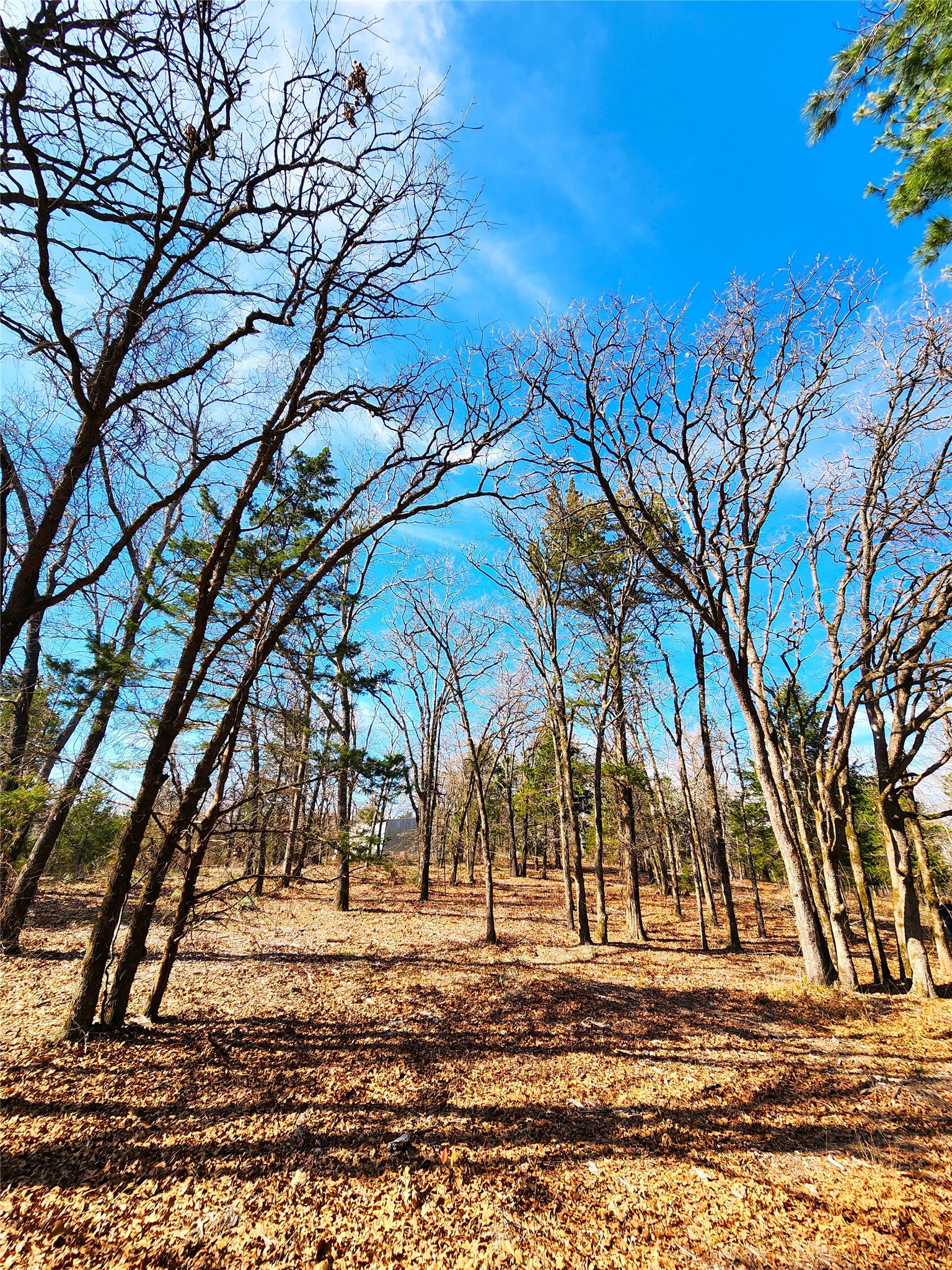 Lot 463 Us-175 Larue TX 75770