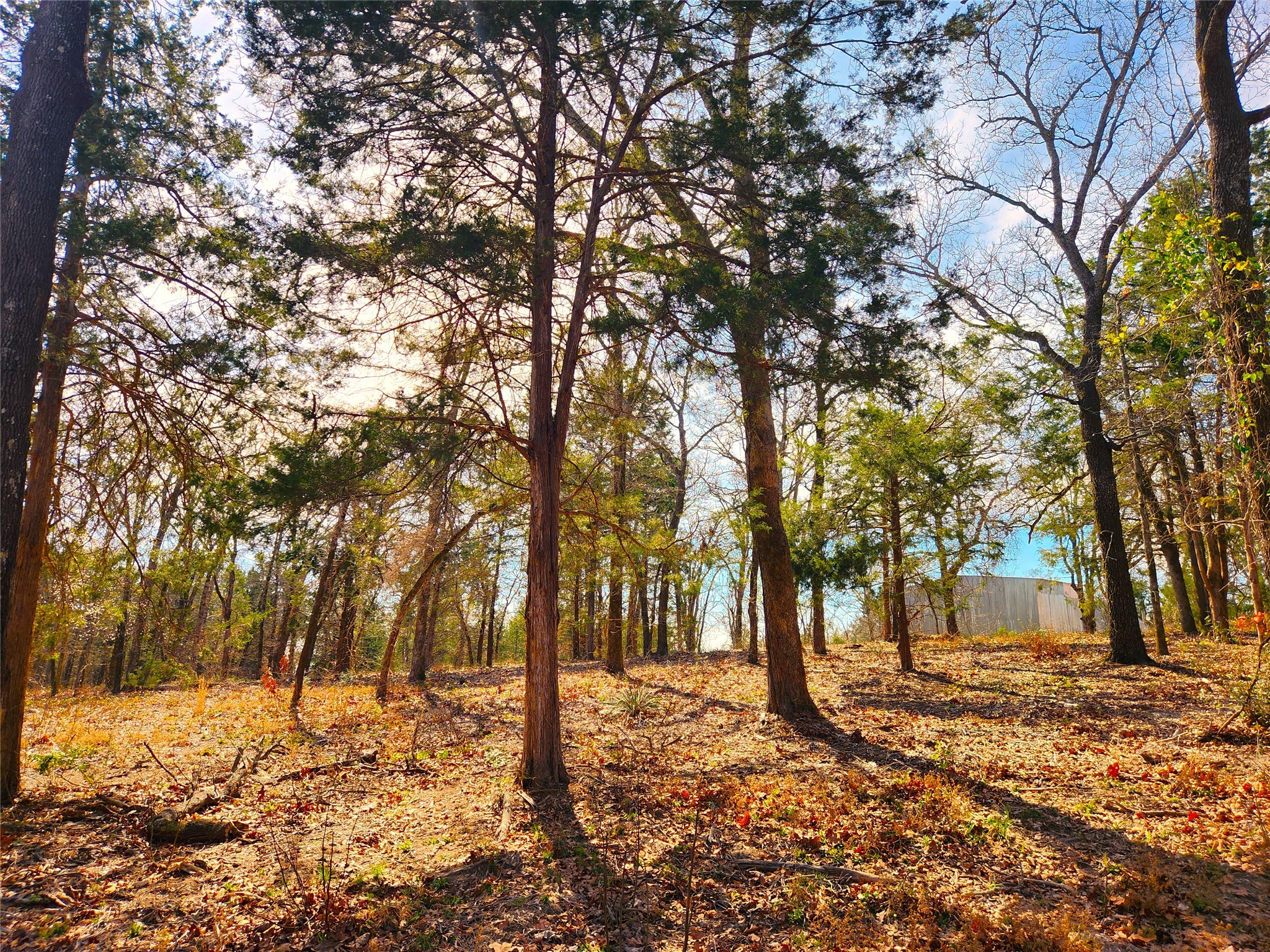 Lot 463 Us-175 Larue TX 75770