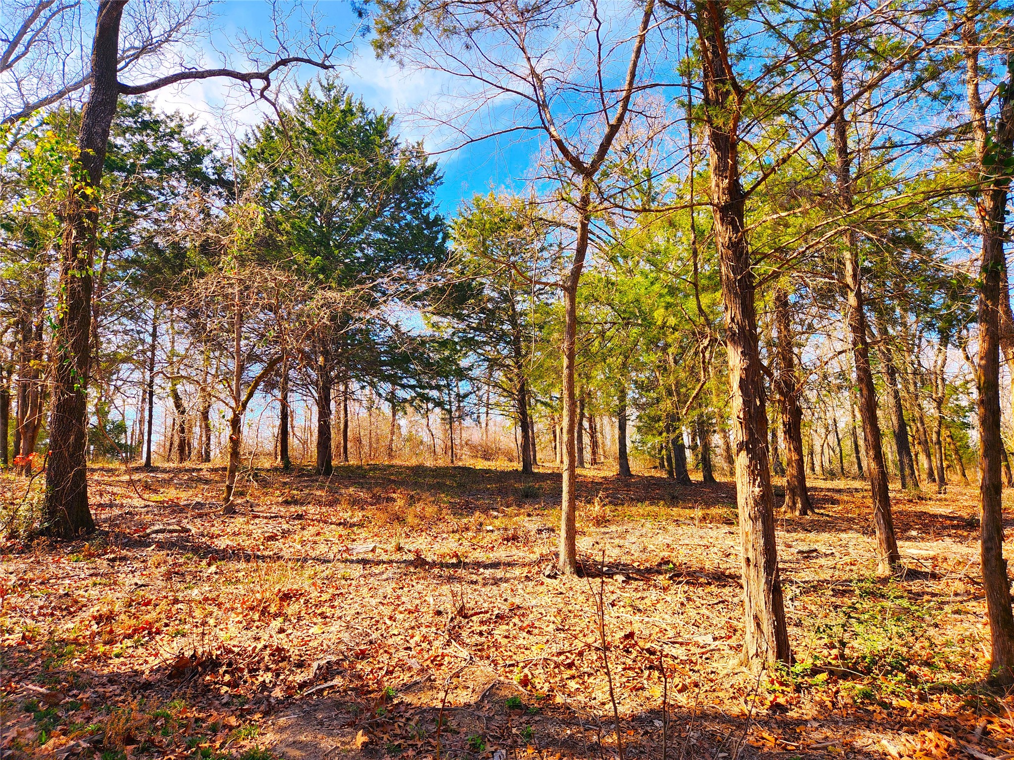 Lot 463 Us-175 Larue TX 75770