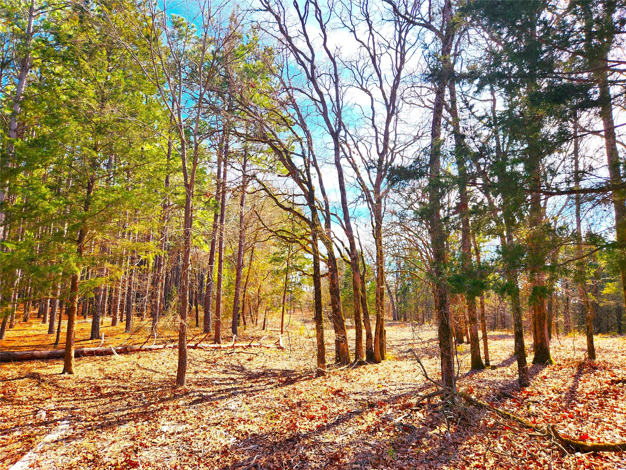 Lot 463 Us-175 Larue TX 75770