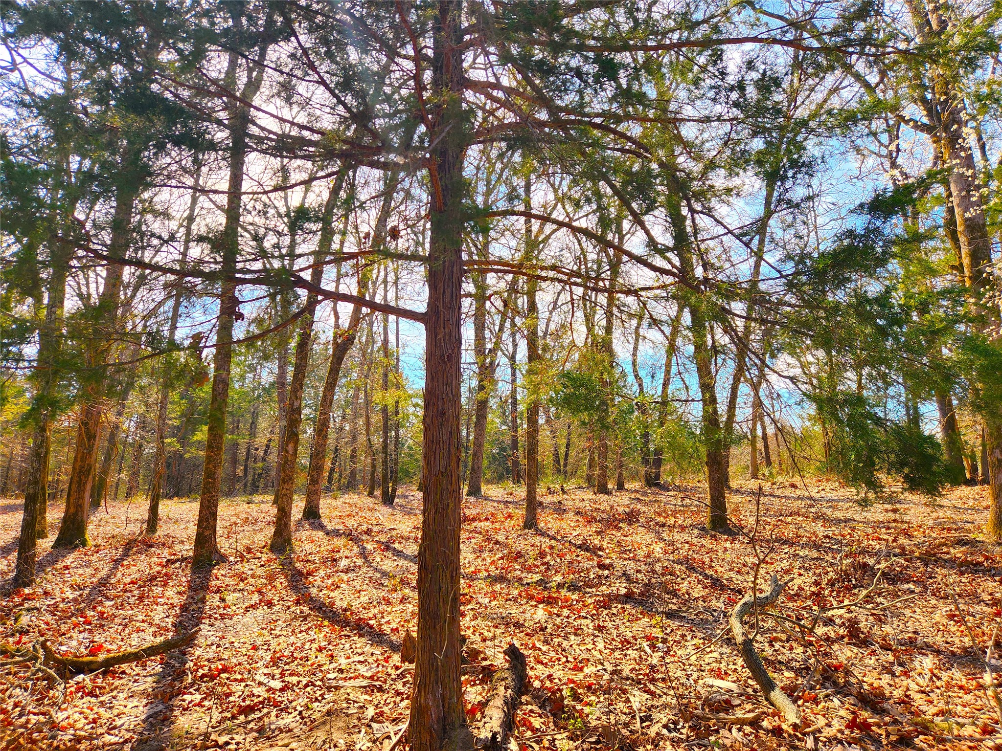 Lot 463 Us-175 Larue TX 75770