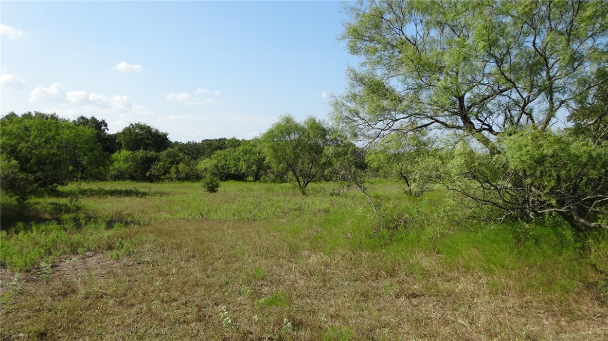 Tbd Highway 114 Boyd TX 76023