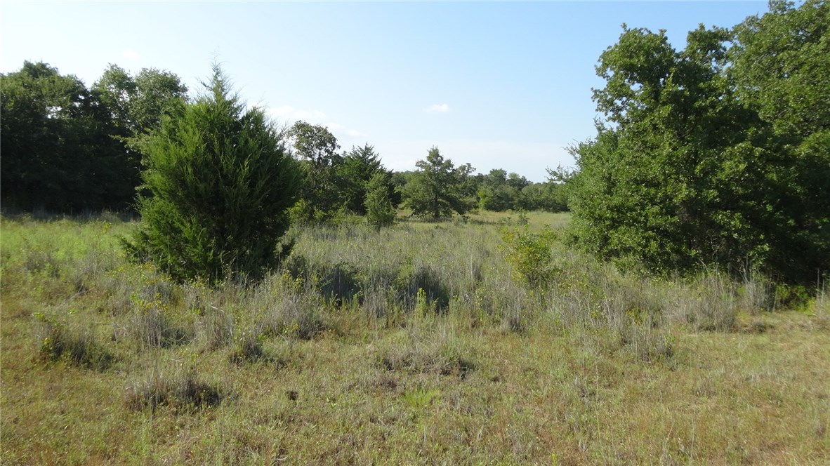 Tbd Highway 114 Boyd TX 76023