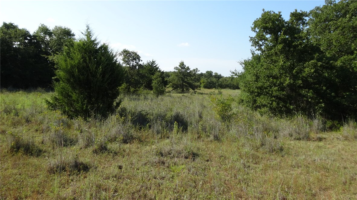 Tbd Highway 114 Boyd TX 76023