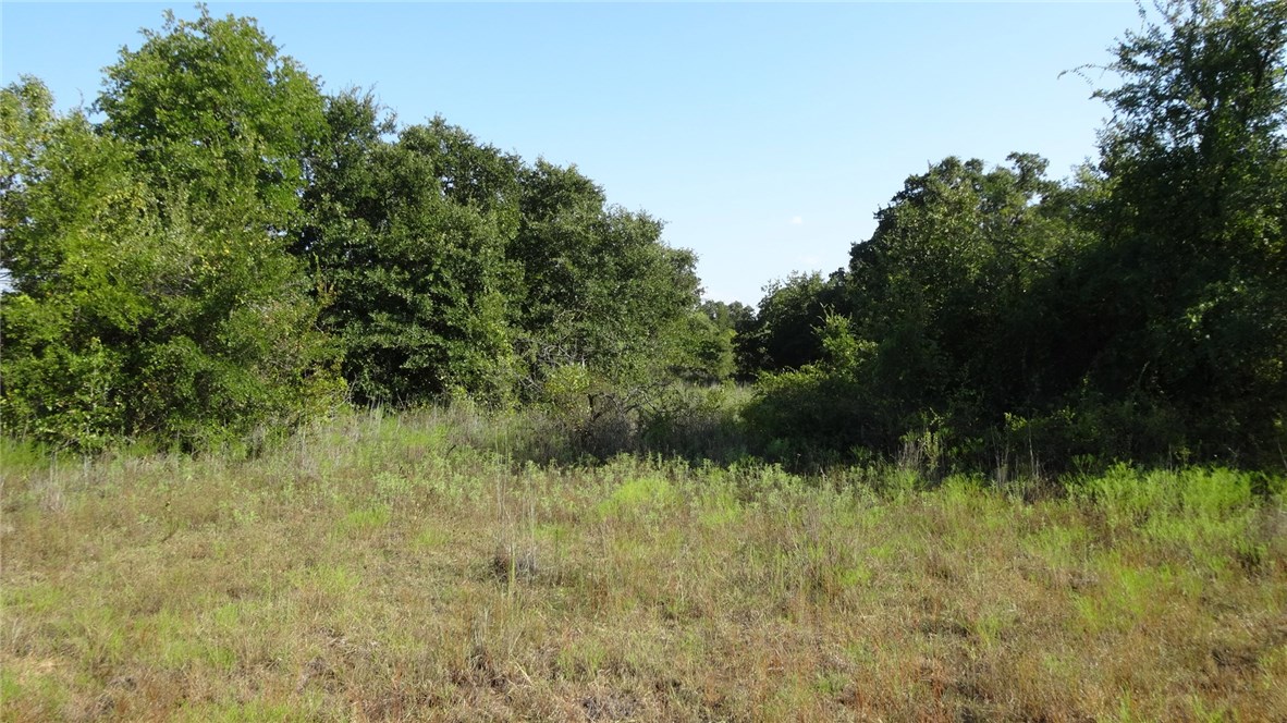 Tbd Highway 114 Boyd TX 76023