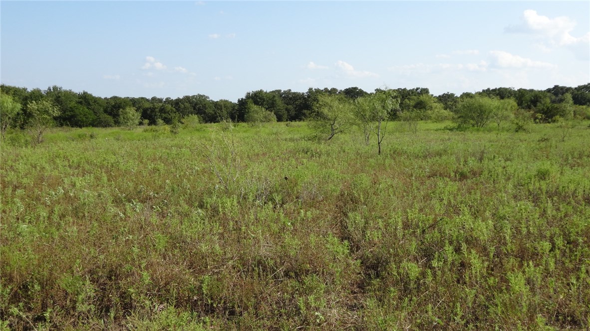 Tbd Highway 114 Boyd TX 76023