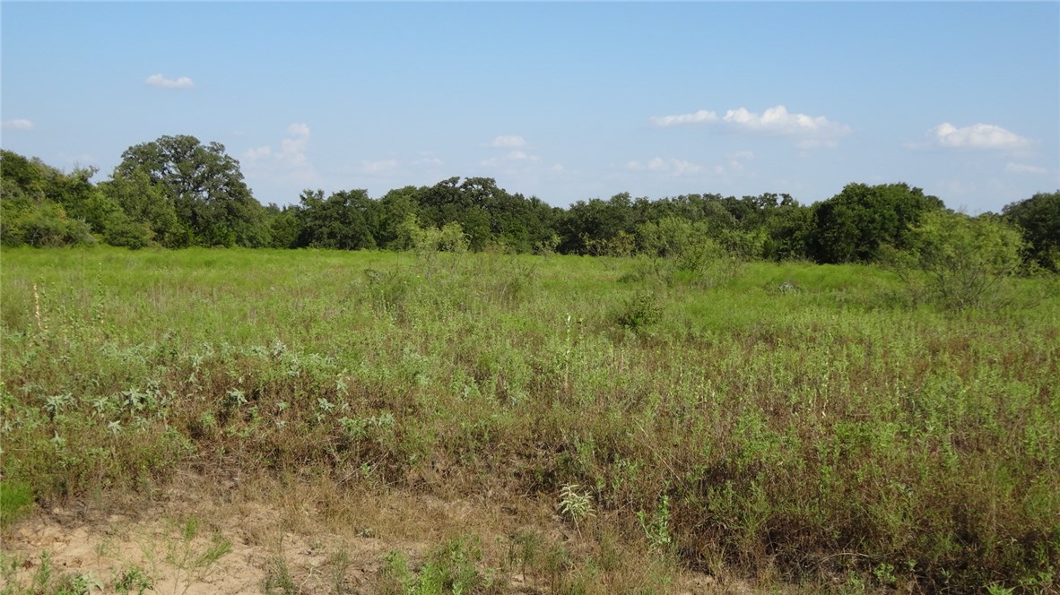 Tbd Highway 114 Boyd TX 76023