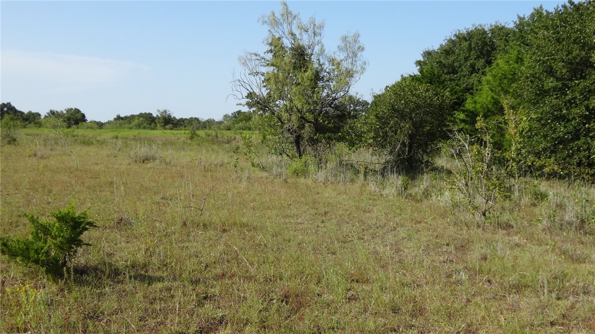 Tbd Highway 114 Boyd TX 76023