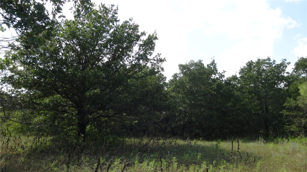 Tbd Highway 114 Boyd TX 76023