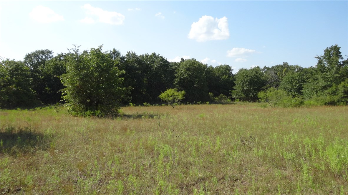 Tbd Highway 114 Boyd TX 76023
