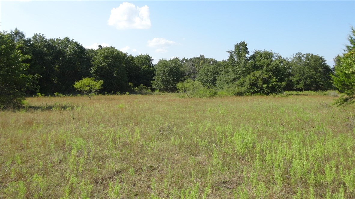 Tbd Highway 114 Boyd TX 76023