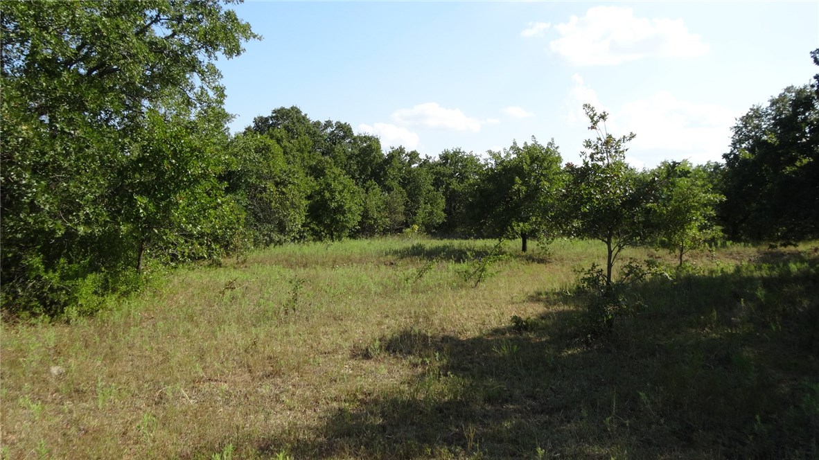 Tbd Highway 114 Boyd TX 76023