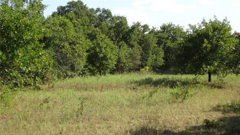 Tbd Highway 114 Boyd TX 76023