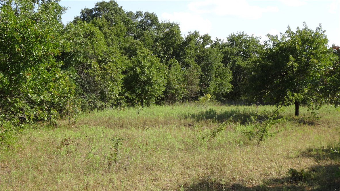 Tbd Highway 114 Boyd TX 76023