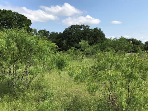 17061 Trailwood Drive Whitney TX 76692