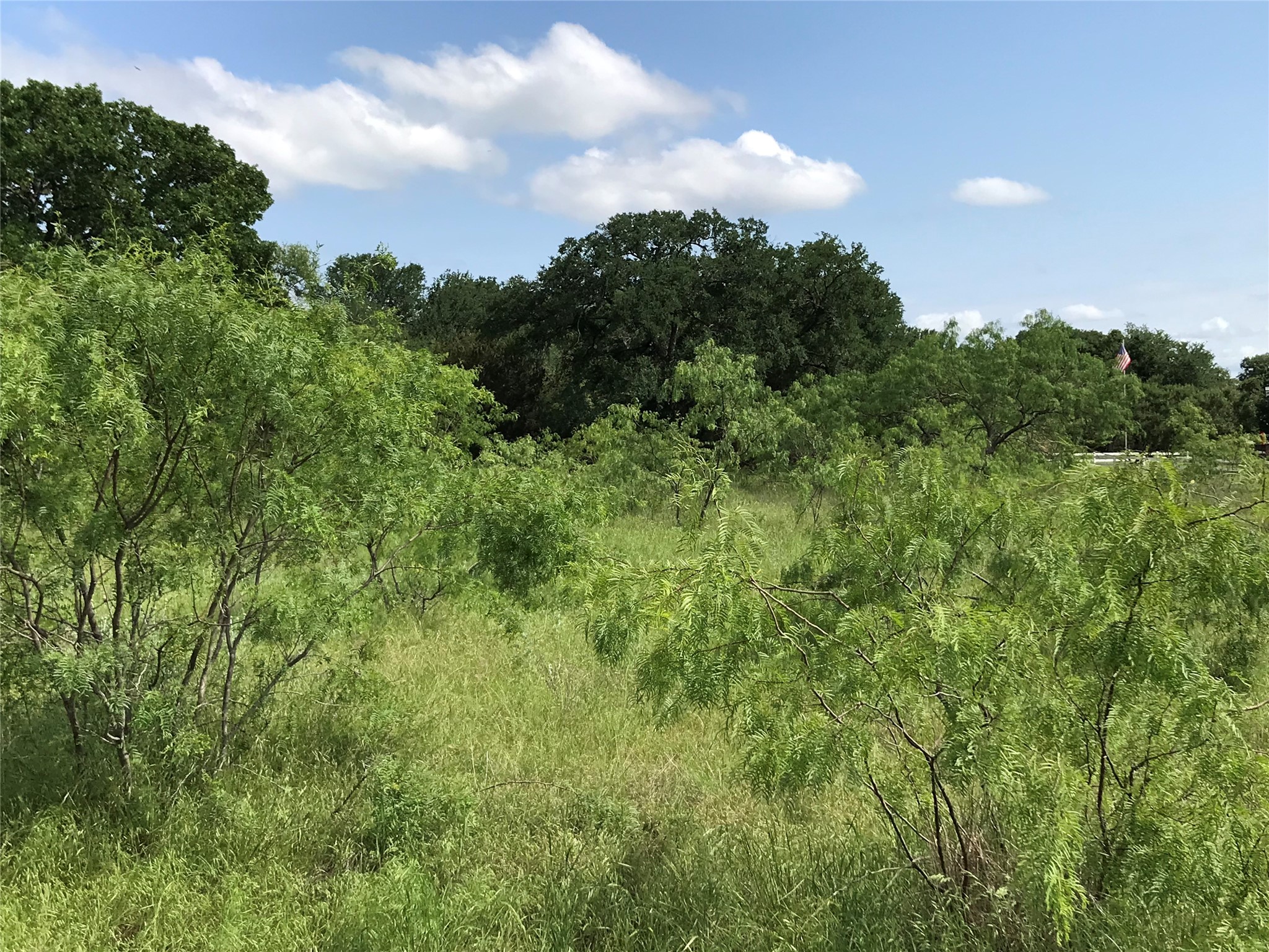 17061 Trailwood Drive Whitney TX 76692