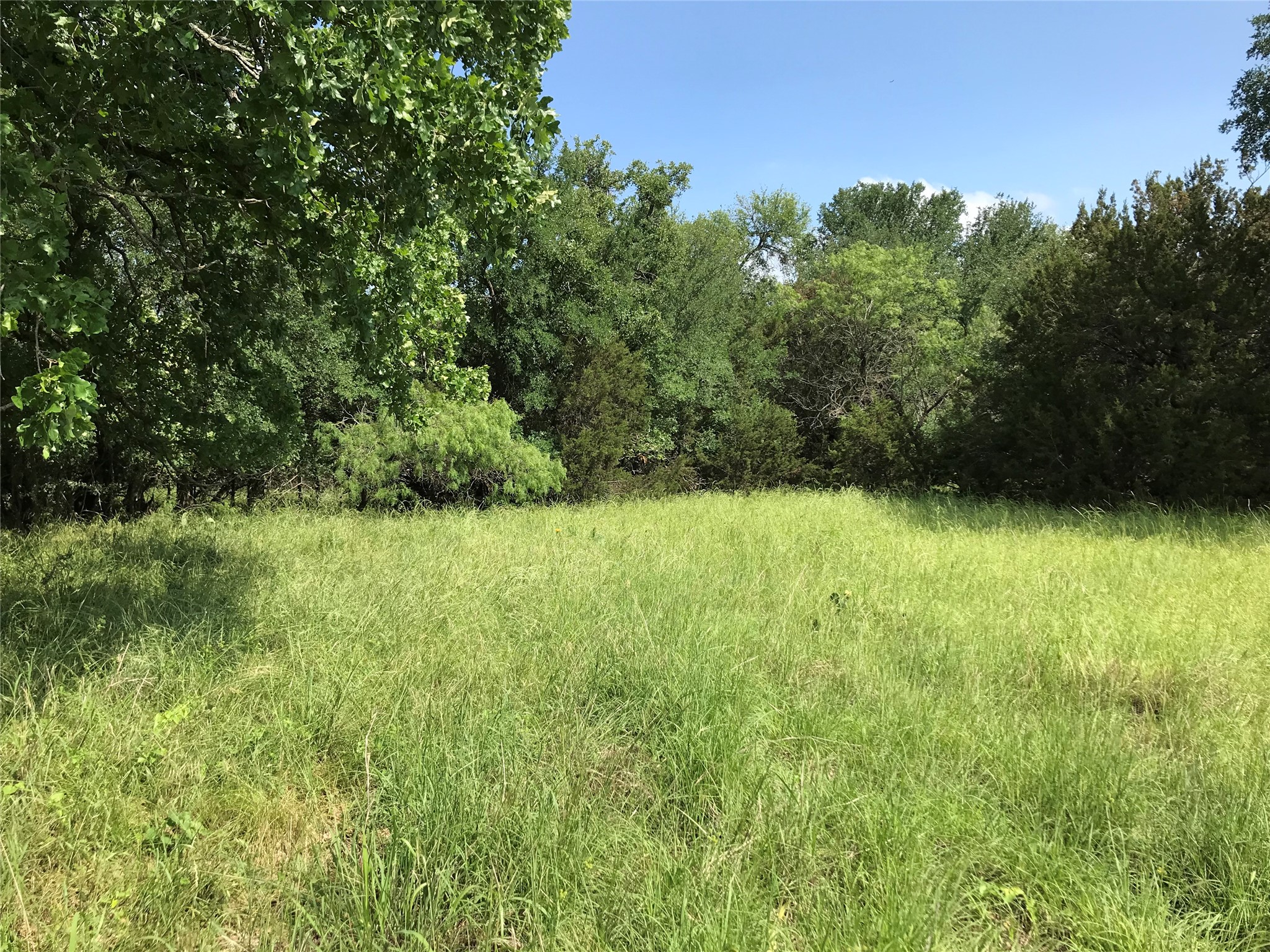 17061 Trailwood Drive Whitney TX 76692