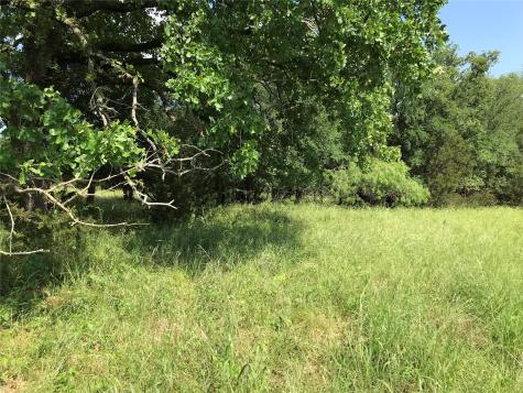 17061 Trailwood Drive Whitney TX 76692