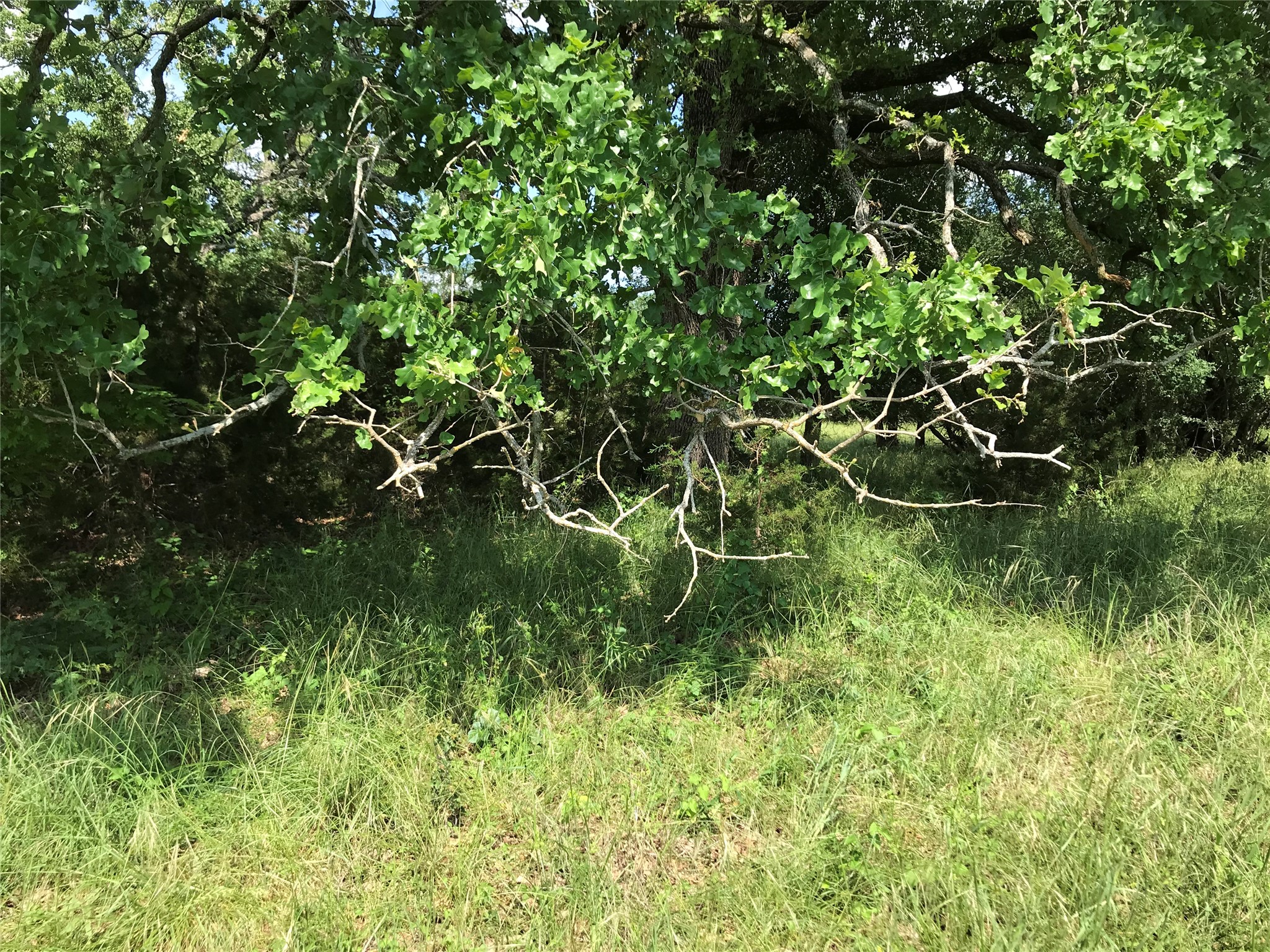 17061 Trailwood Drive Whitney TX 76692