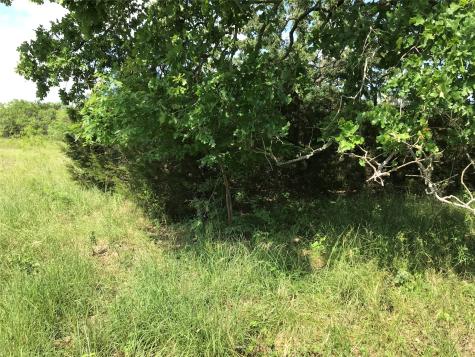 17061 Trailwood Drive Whitney TX 76692