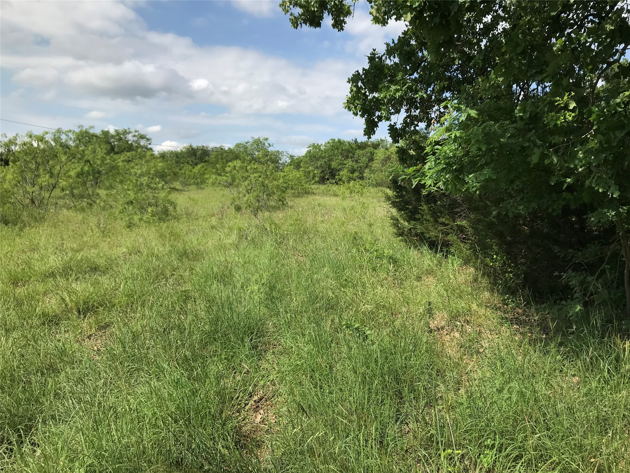 17061 Trailwood Drive Whitney TX 76692