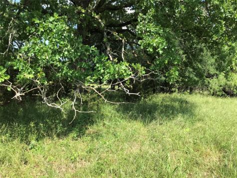 17061 Trailwood Drive Whitney TX 76692